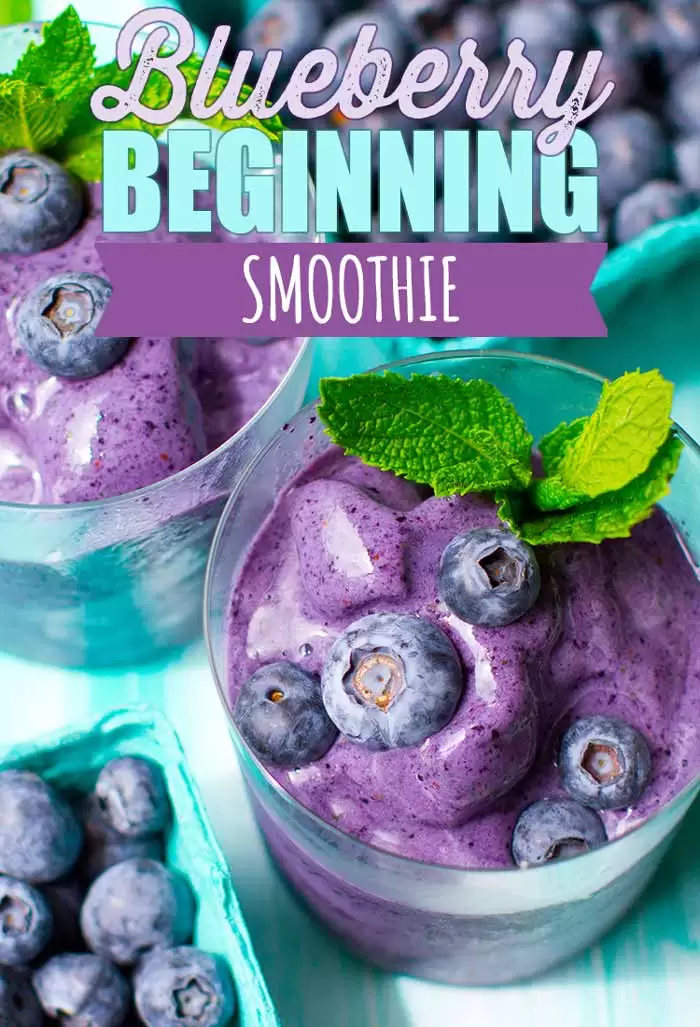 Blueberry Smoothie Vegan