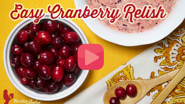 Easy Recipe for Cranberry Relish by Blender Babes