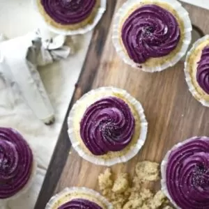 BLUEBERRY CREAM CHEESE FROSTING RECIPE IN A VITAMIX OR BLENDTEC BLENDER