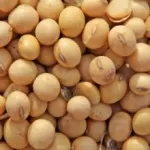 soybeans