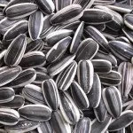 sunflower seeds