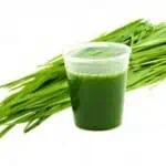 wheatgrass